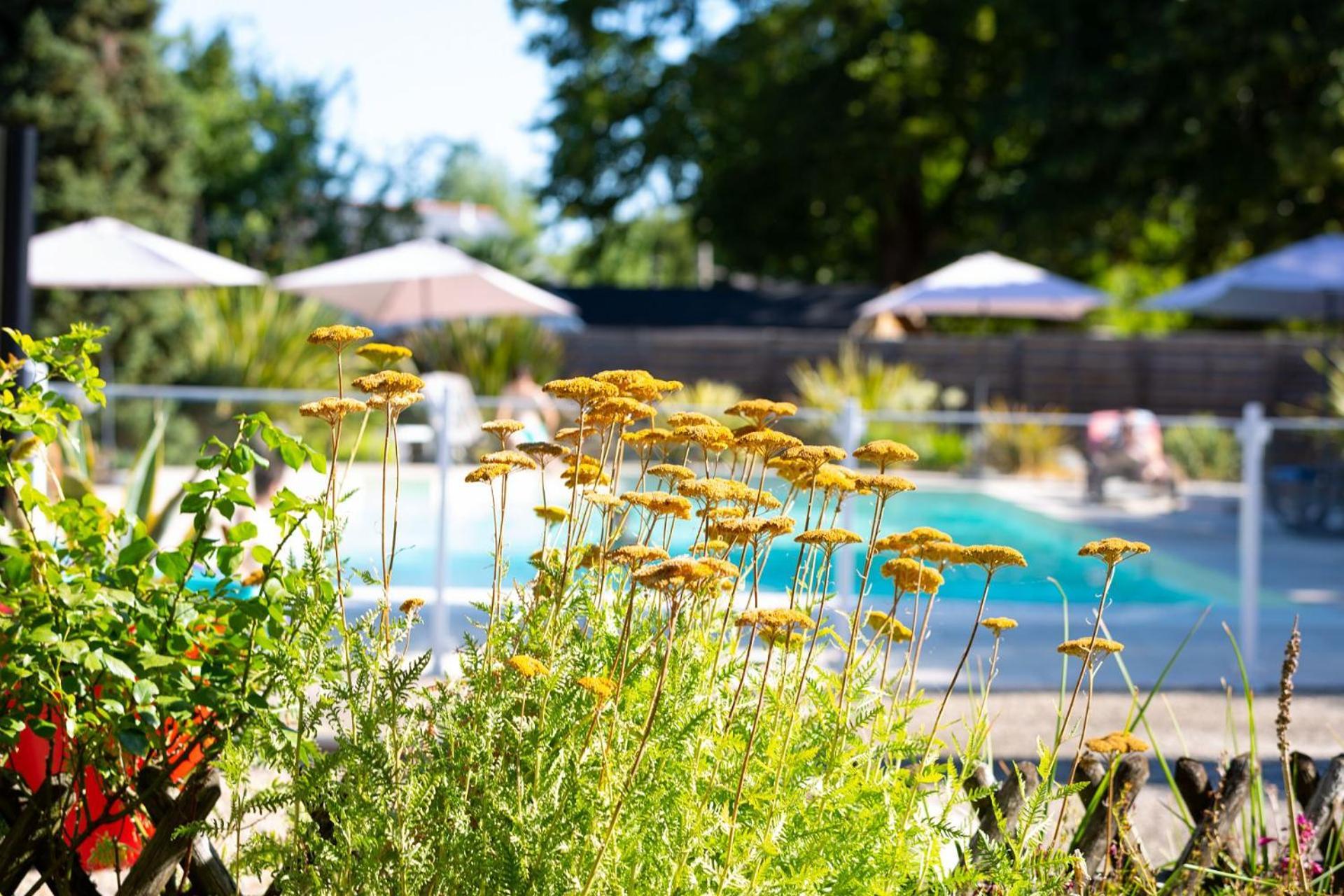 Hotel Mileade Le Domaine De La Blairie - Saumur Saint-Martin-de-la-Place Экстерьер фото