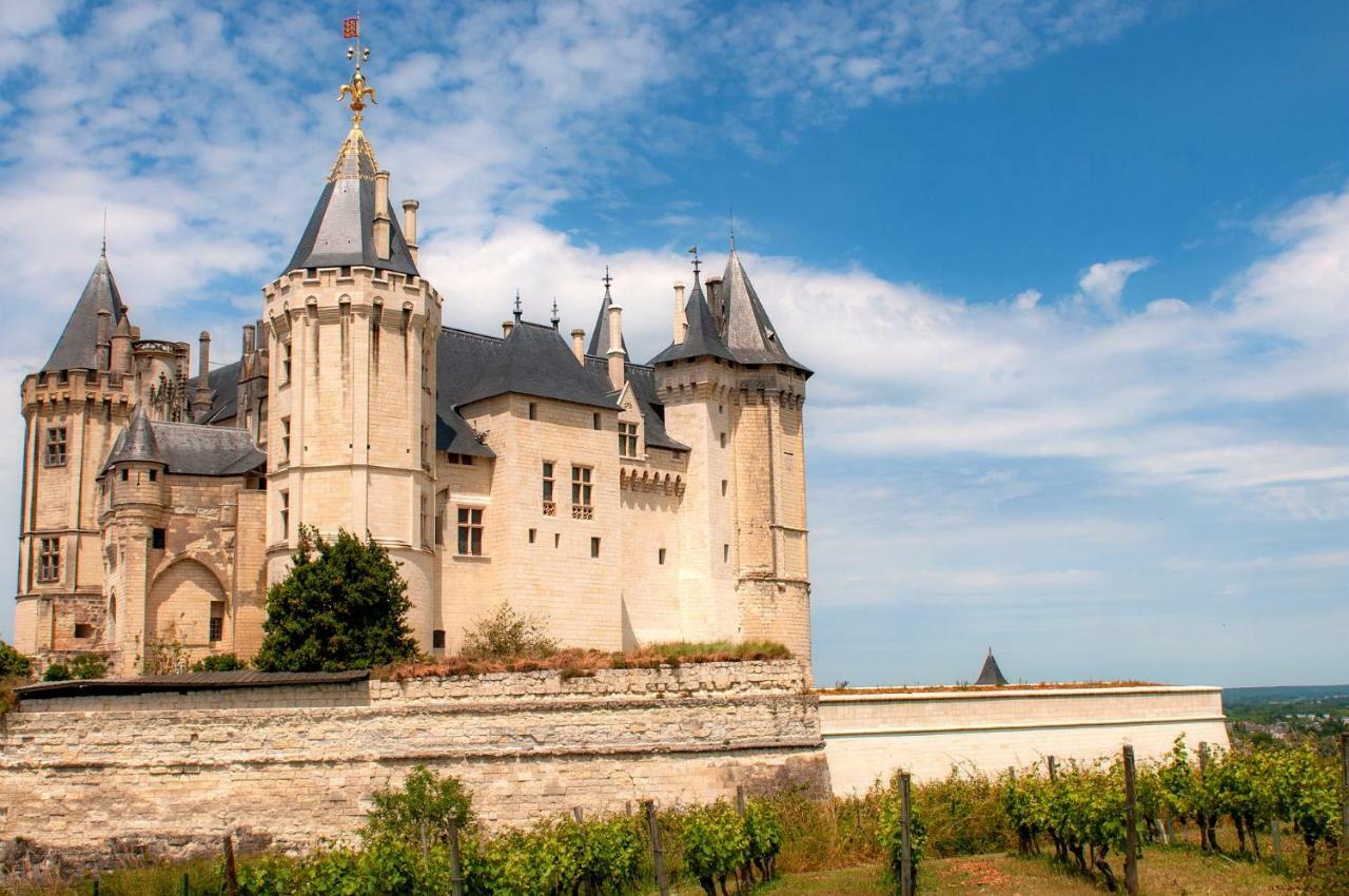 Hotel Mileade Le Domaine De La Blairie - Saumur Saint-Martin-de-la-Place Экстерьер фото